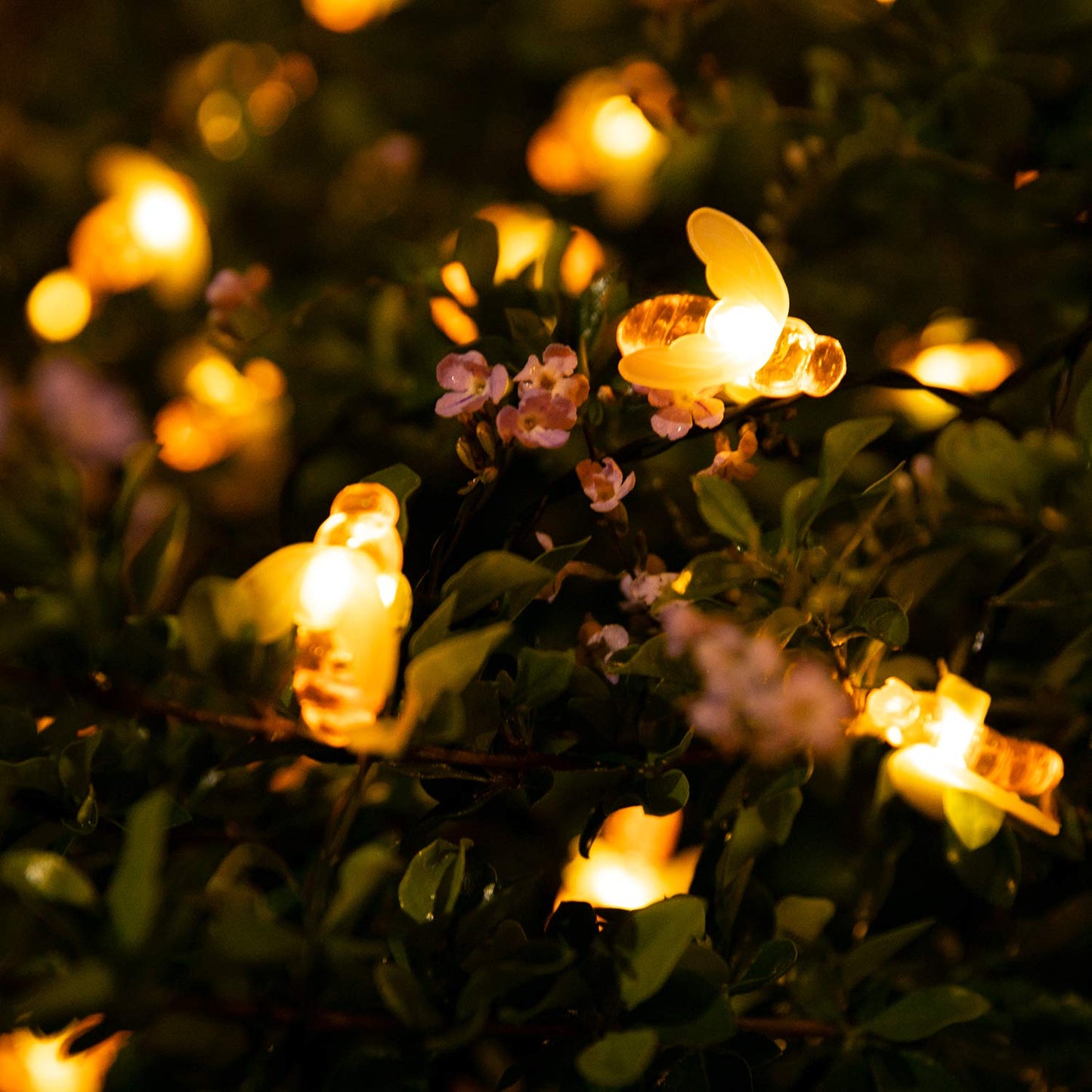 Brightown Solar Bee String Lights, 31 Ft, 50 LED, 8 Lighting Modes, Warm White, Waterproof, Model BT-animal-lights