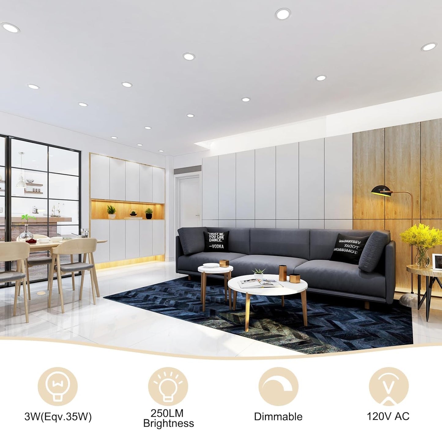 Ygs-Tech 2 Inch Led Recessed Lighting  Dimmable Downlight 3W(35W Halogen Equivalent)  Cri80  5000K Daylight White Ceiling Light With Led Driver (24 Pack)