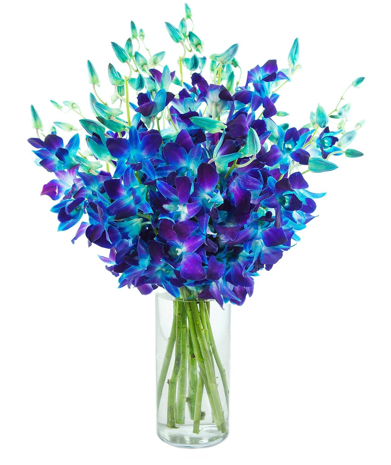 KaBloom Flowers - Mothers Day Collection - 20 Blue Orchid with vase  Gift for Birthday  Sympathy  Anniversary  Get Well  Thank You  Valentine  Mothers Day Fresh Flowers