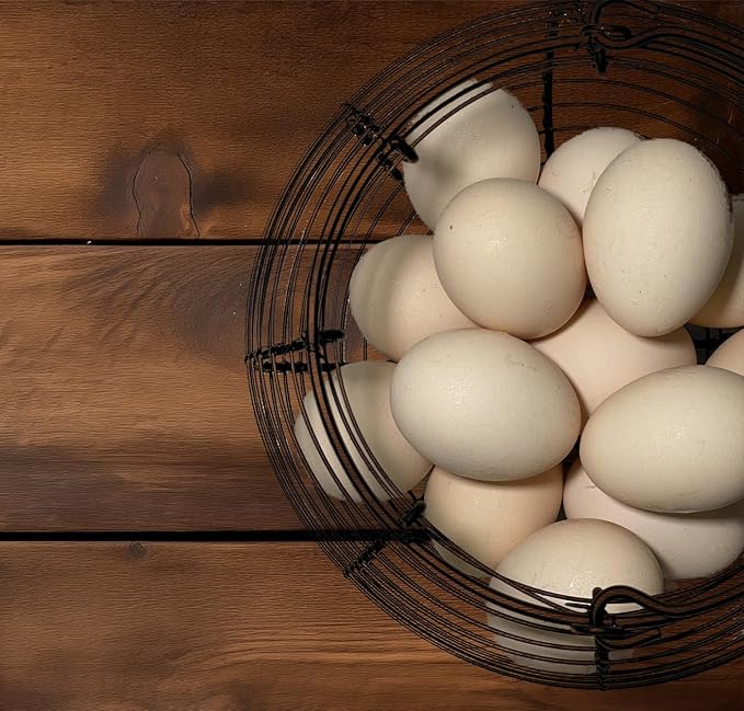 Egg Basket for Gathering Fresh Eggs, Retro Handle Egg Gathering Basket with Mat, Metal Egg Holder Countertop, Chicken Egg Basket for Farmhouse