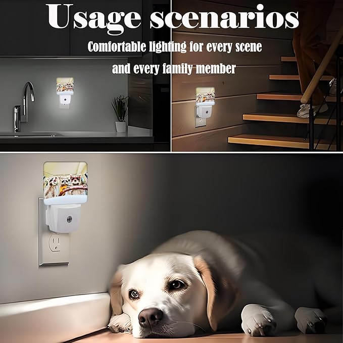 Three Cute Raccoons Night Light,Plug-in Nightlights Auto Sensor Night Lamp Dusk-to-Dawn Lamp Home Decor for Nursery Children Girls Boys