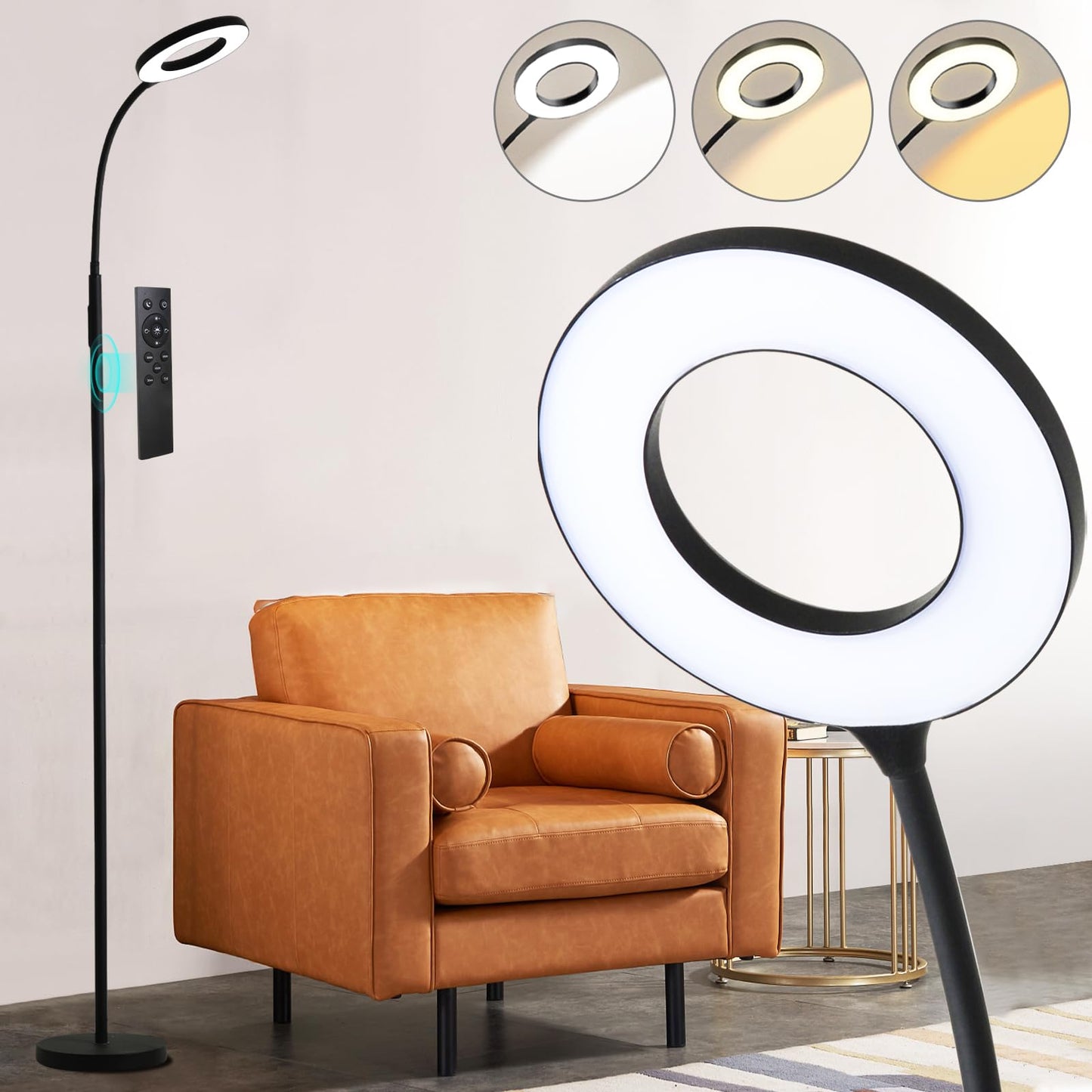 homakee LED Floor Lamp 12W 1000LM Adjustable Gooseneck Remote Touch Control Black HMK-FL