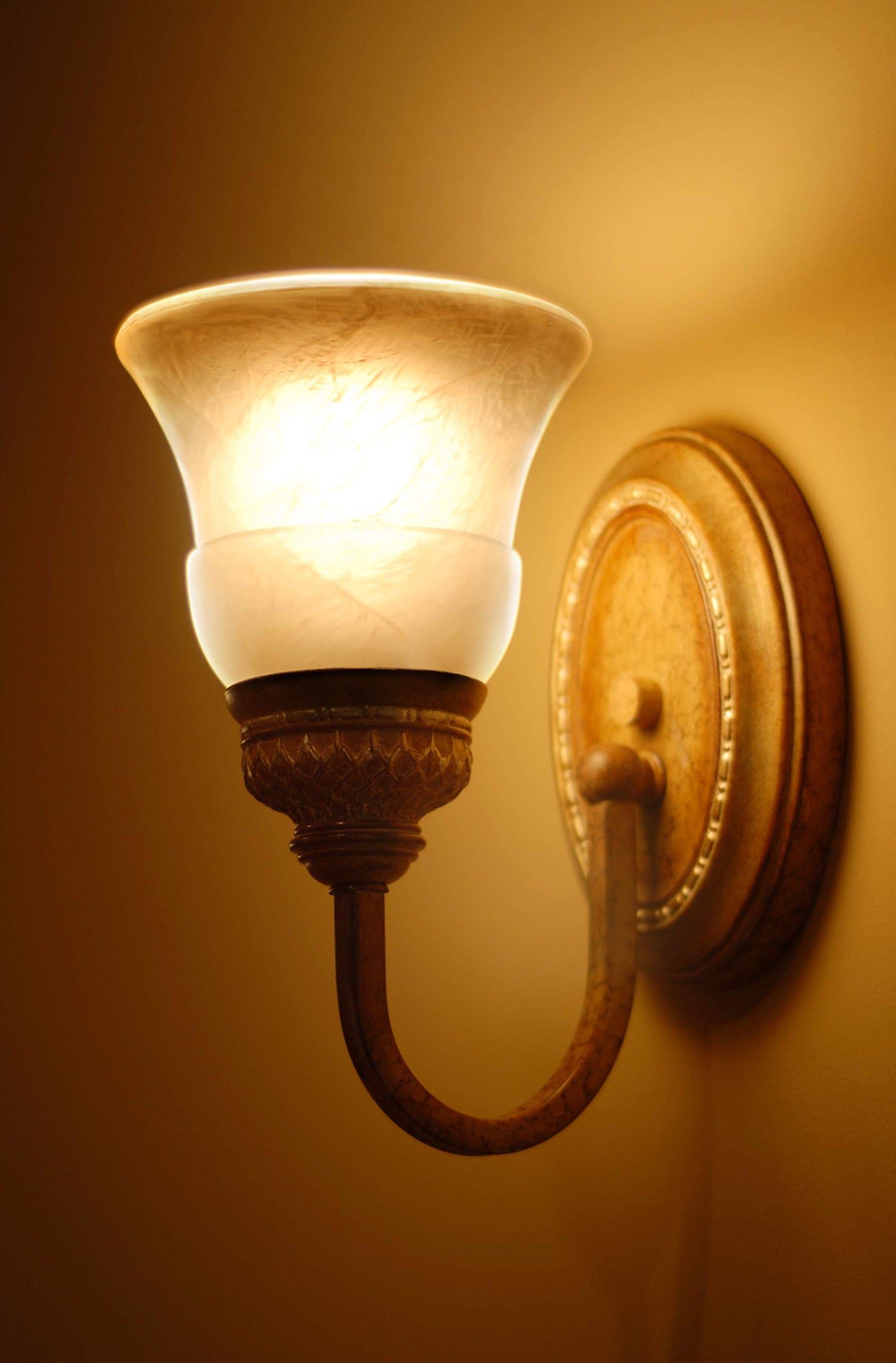 Feit Electric 10-Watt T3 Halogen Bulb, Bi-Pin Base, Clear, 1.25 H, 3000K, Model Bpq10T3/Rp