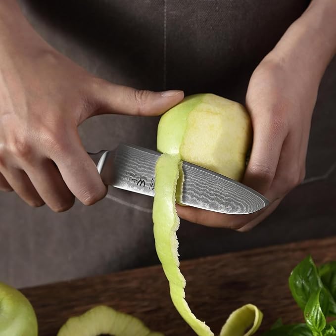 Wakoli EDIB Damascus Small Santoku Knife – 4.7-Inch Japanese Style Kitchen Knife | Genuine 67-Layer Damascus Steel Blade with VG10 Core | Ergonomic Pakkawood Handle | Multi-Purpose Cooking Knife