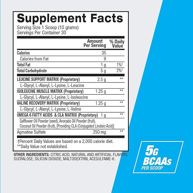 BPI Sports Best BCAA - Building Blocks of Protein and Muscle - Post-Workout Recovery - Weight Loss Support - Fruit Punch, 30 Servings, 300 grams