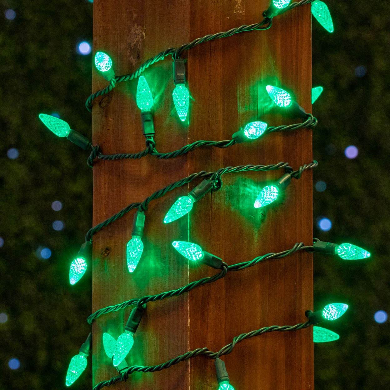 Novelty Lights C6 Led Christmas Mini Light Set, 70 Lights, 24Ft, Green Wire, Commercial Grade Outdoor Lighting