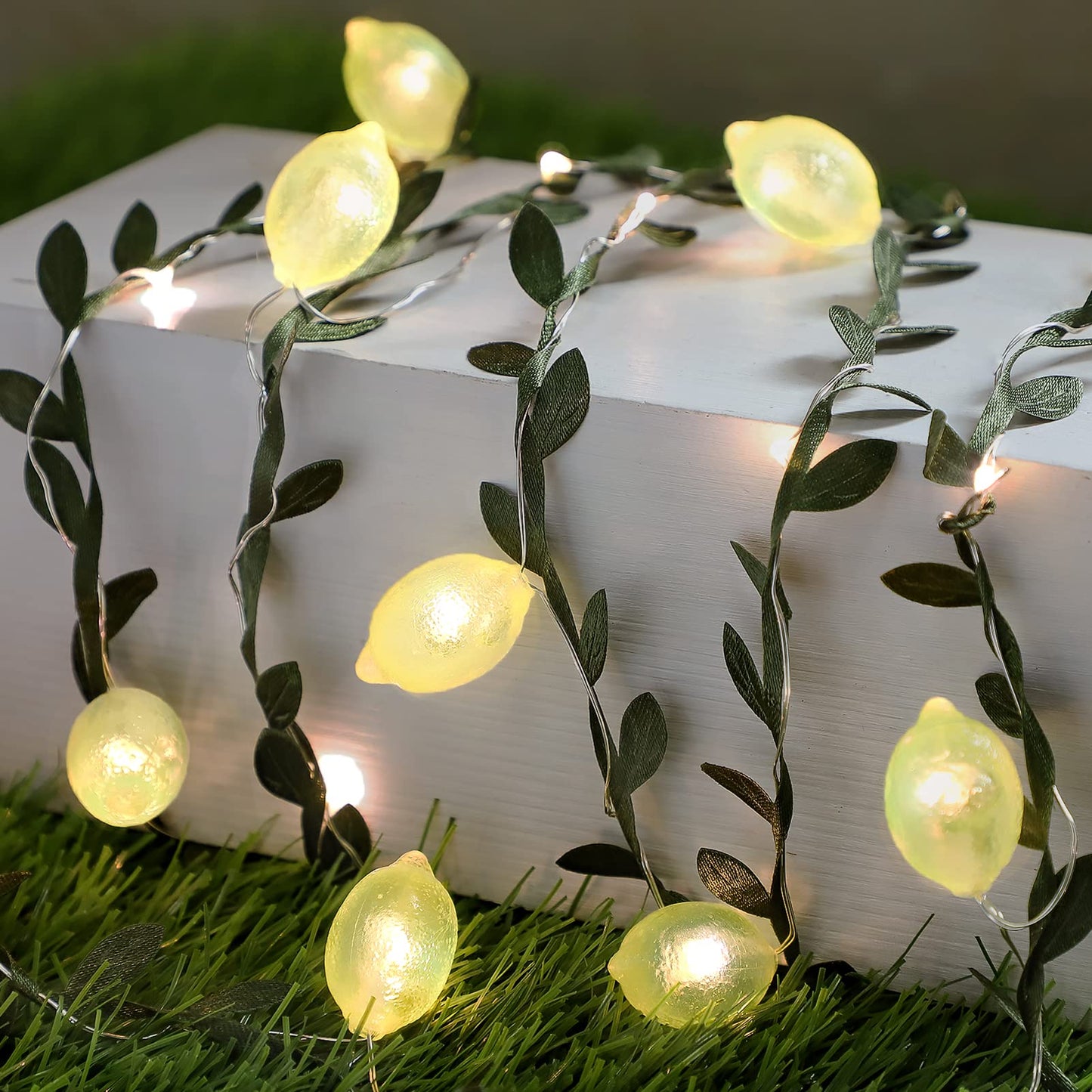 FLAVCHARM 3D Lemon LED String Lights, 10FT, 40 LEDs, USB/Battery Operated, Remote Timer, Fairy Lights for Bedroom and Party Decorations