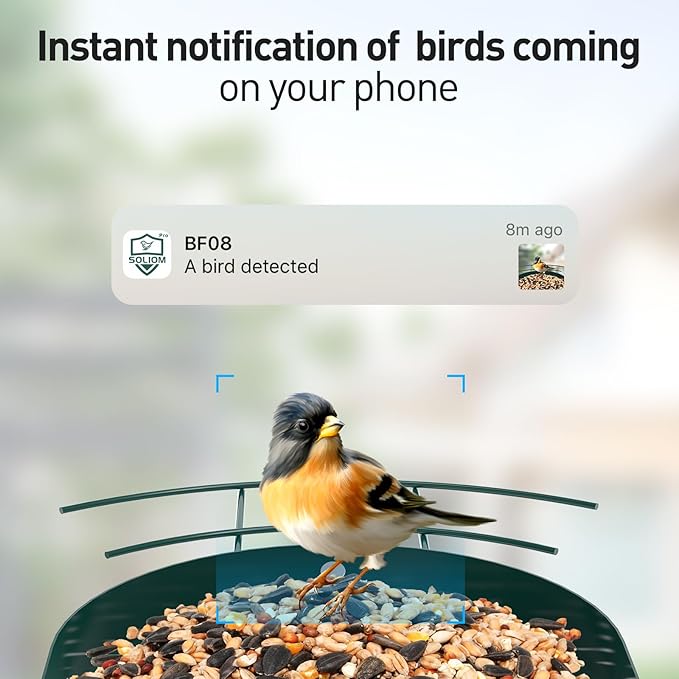 SOLIOM Solar Bird Feeder with Camera for Outdoors - AI Smart Birdhouse, 2K Live View & Instant Alerts, Squirrel Proof - Perfect Bird Watching Gift (Red)