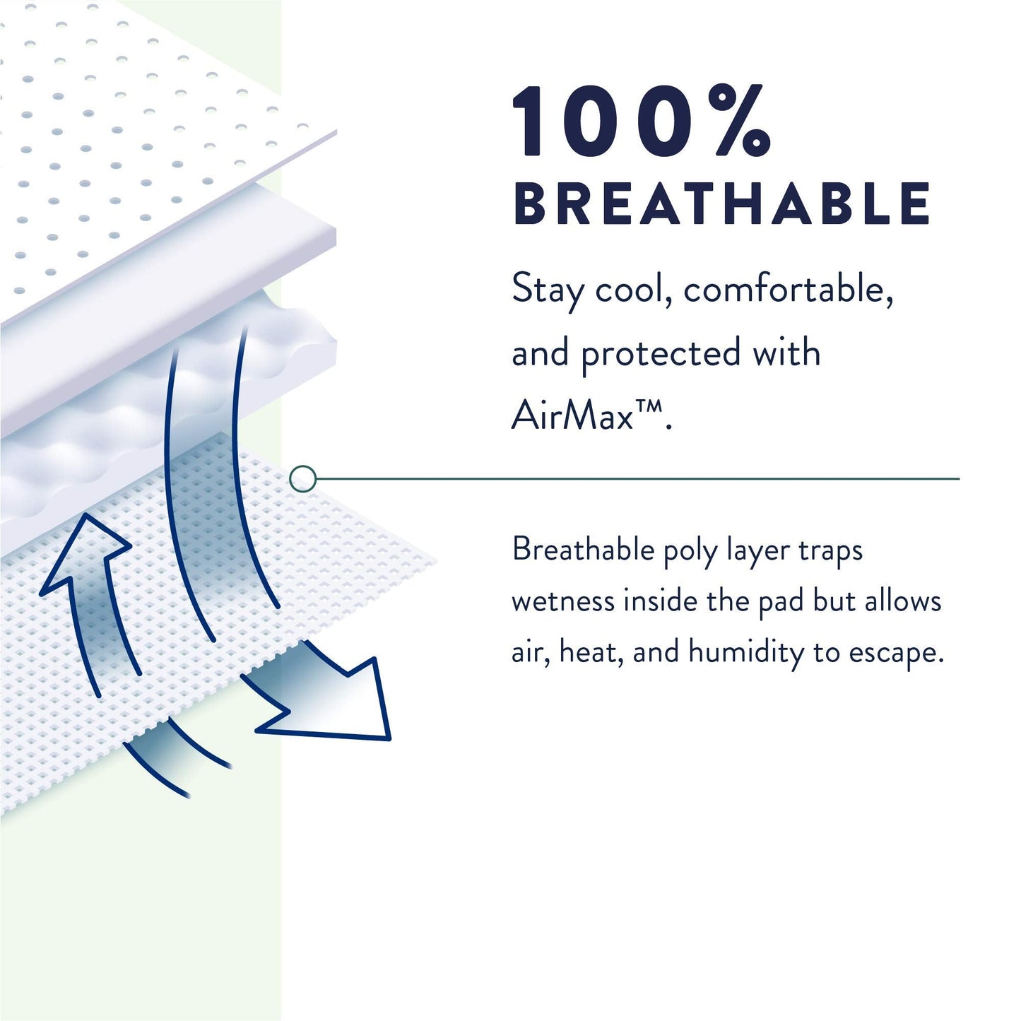 Prevail Incontinence Unisex Overnight Protective Underwear, Overnight Absorbency, Large, 56 Count