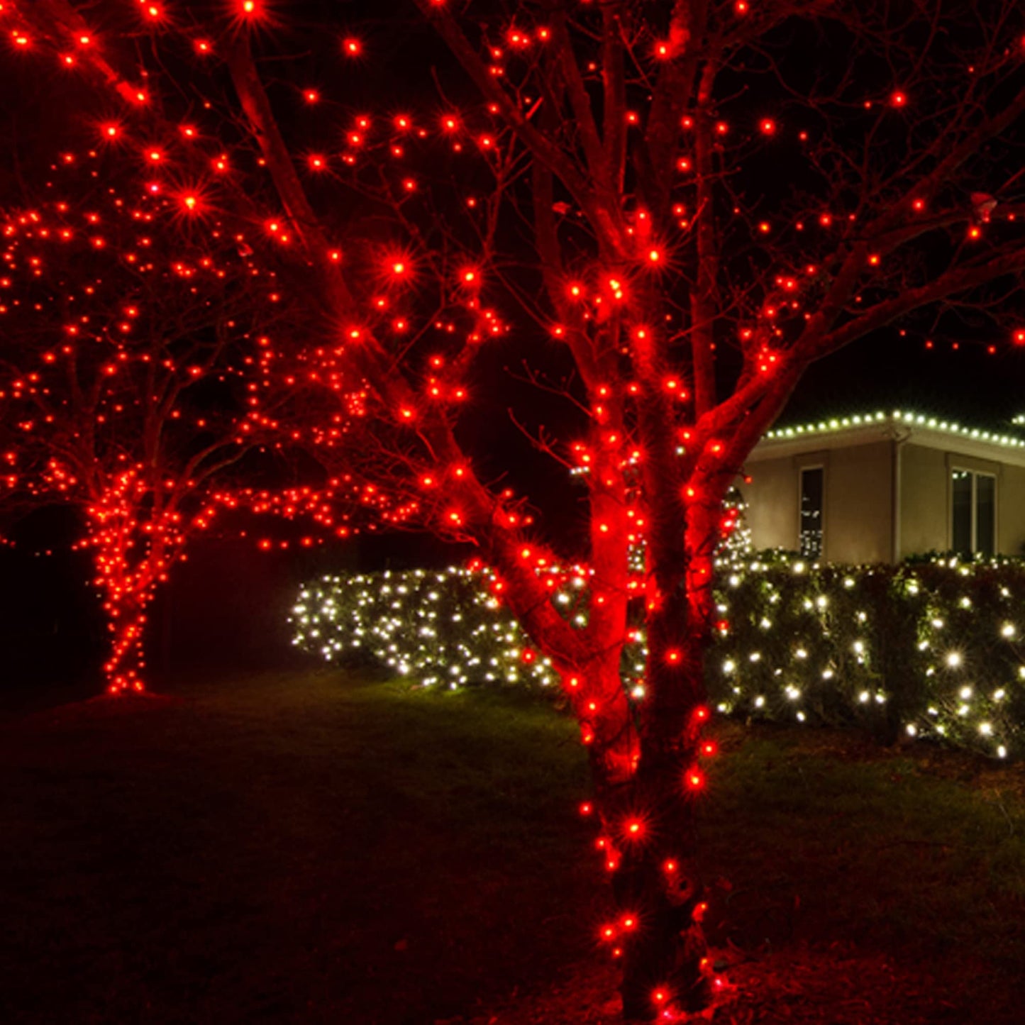 Dazzle Bright Christmas String Lights, 400 LED, 132FT, Waterproof, Green Wire, 8 Modes, Red, Model HB-300COI