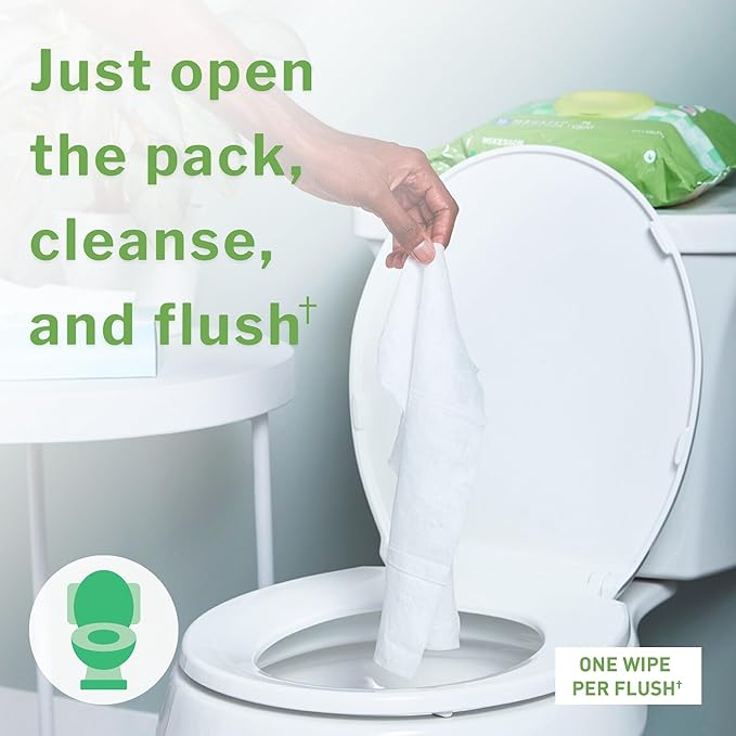 McKesson Flushable* Adult Wet Wipes XL – 576 Wipes (6 Pack of 96) – Aloe & Vitamin E, Plant-Based Cleansing Wipes, Scented, Extra Large