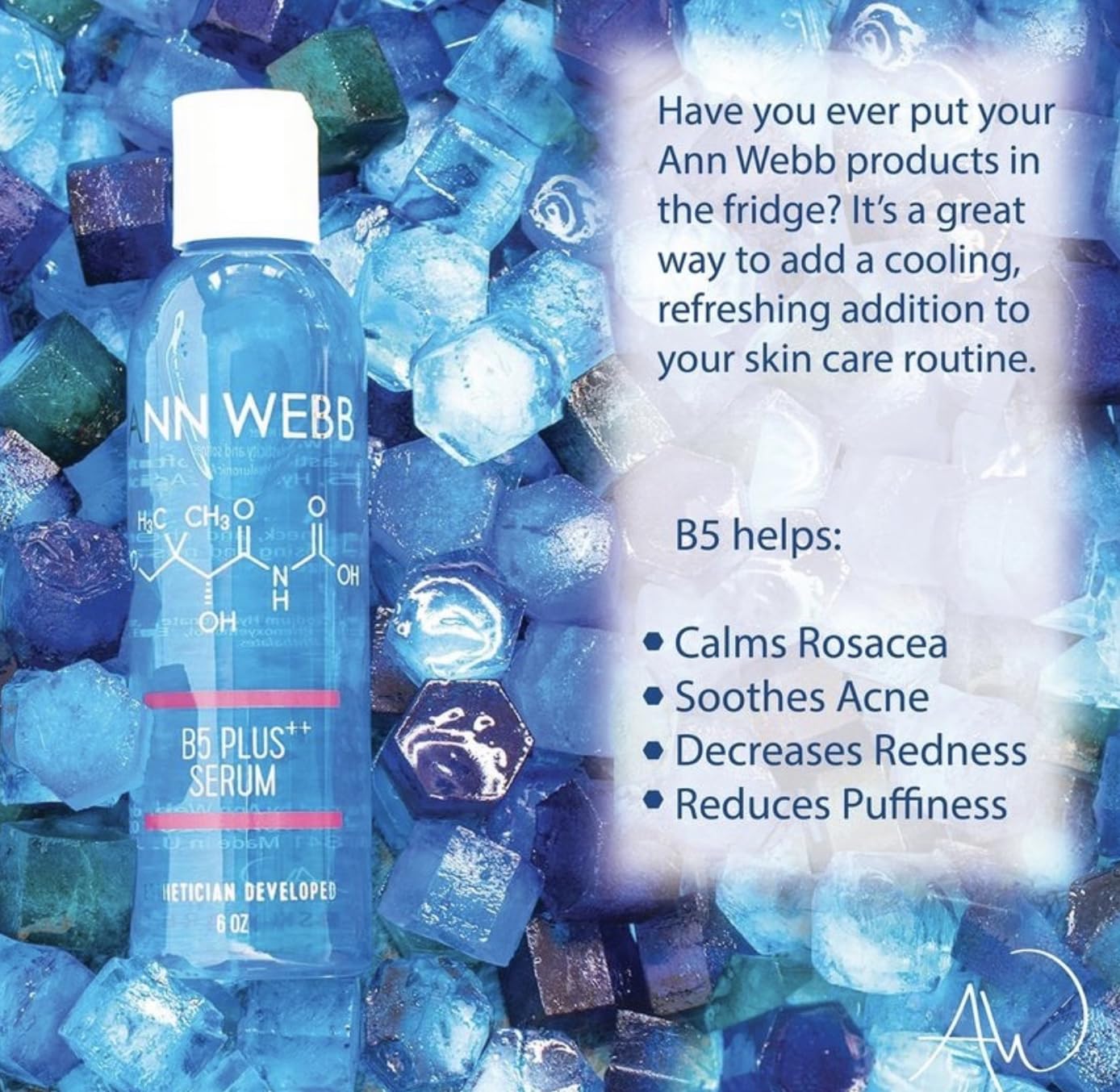 ANN WEBB B5 Hyaluronic Serum - HyaluronicAcid + 2 forms of B5 visibly softens fine lines hydrates, plumps & moisturizes your ski