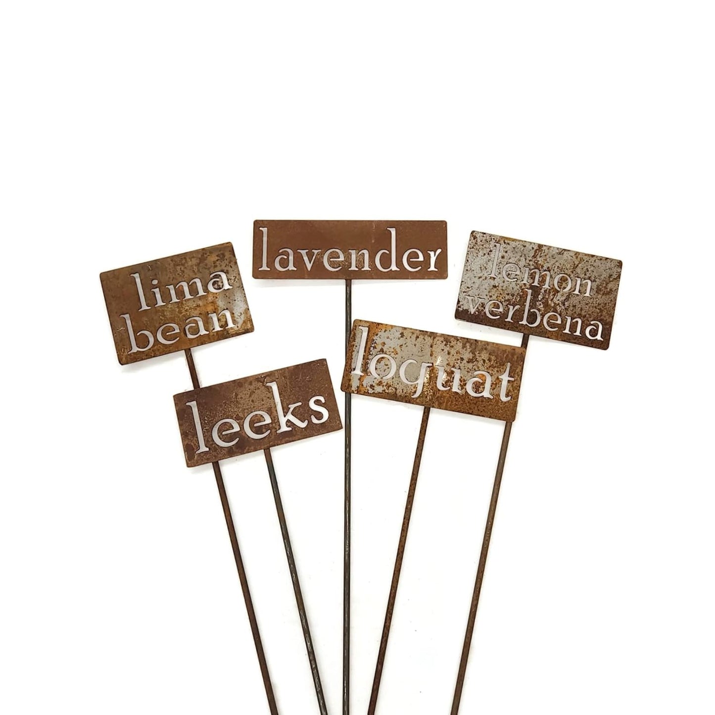Classic Metal Garden Markers 19 Inches Tall (lettuce, Naturally Rusted)