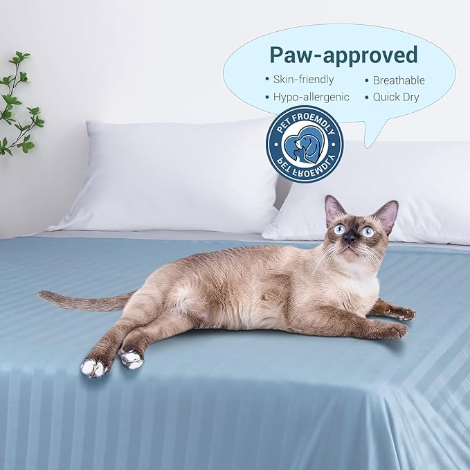 Elegear Revolutionary Cooling Blanket Queen, Absorbs Heat to Keep Body Cool for Night Sweats, Double Sided Arc-Chill3.0 Cooling Fiber Q-Max>0.5, Lightweight Summer Cold Blankets for Sleeping 79“ x 86”