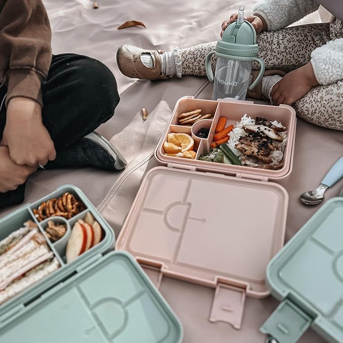 nouka Design Bento Lunch Box | Easy to Open Latches | Spill Proof Design | 6-Compartment Removable Tray | Garden