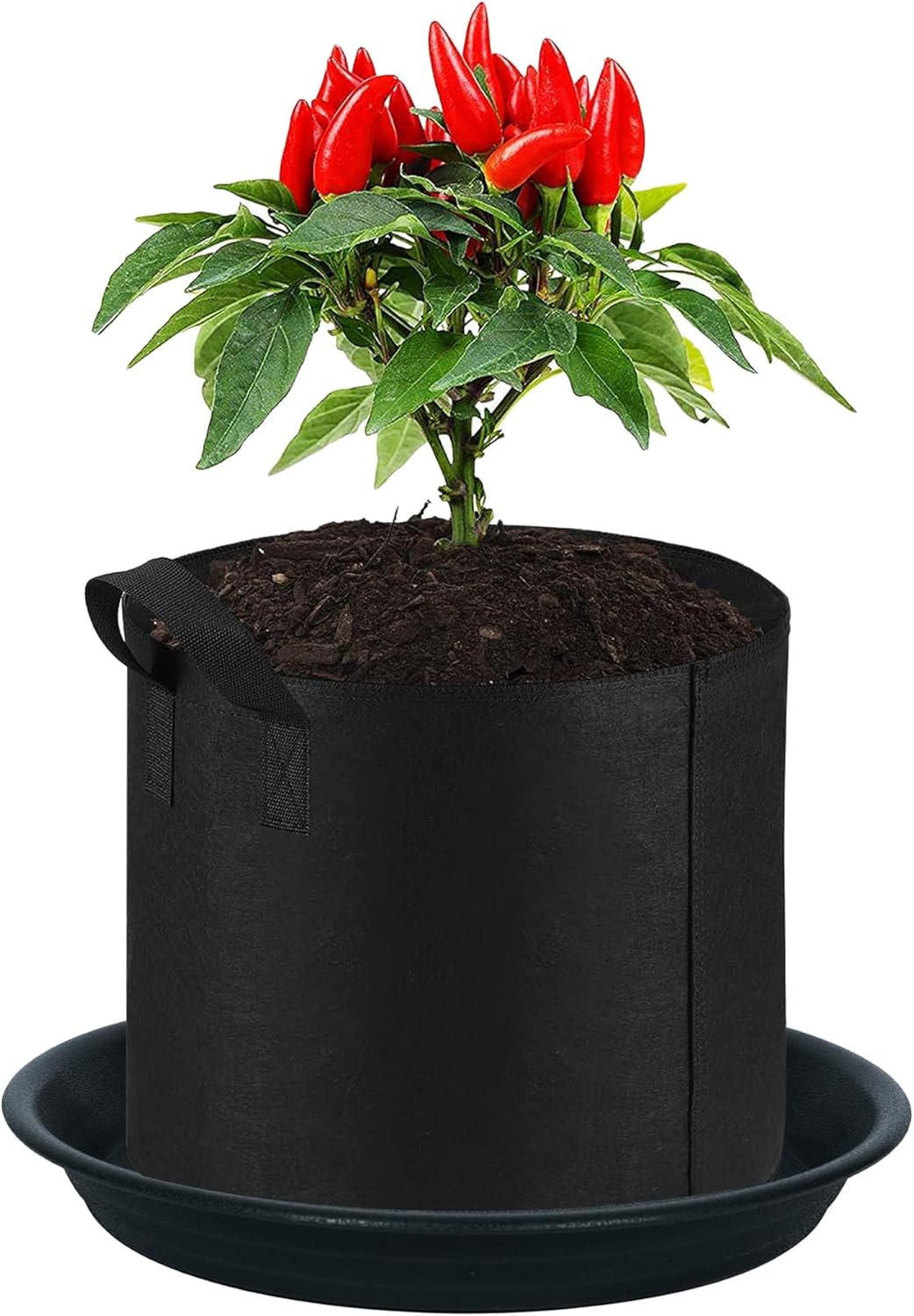 Plant Saucer Pot Tray 4 6 8 10 12 14 16 18 inch, 6 Packs Plastic Flower Planter Saucers and Drip Trays for Indoors Outdoors, Heavy Durable Plant Plate Water Catcher (6 inch, Black)