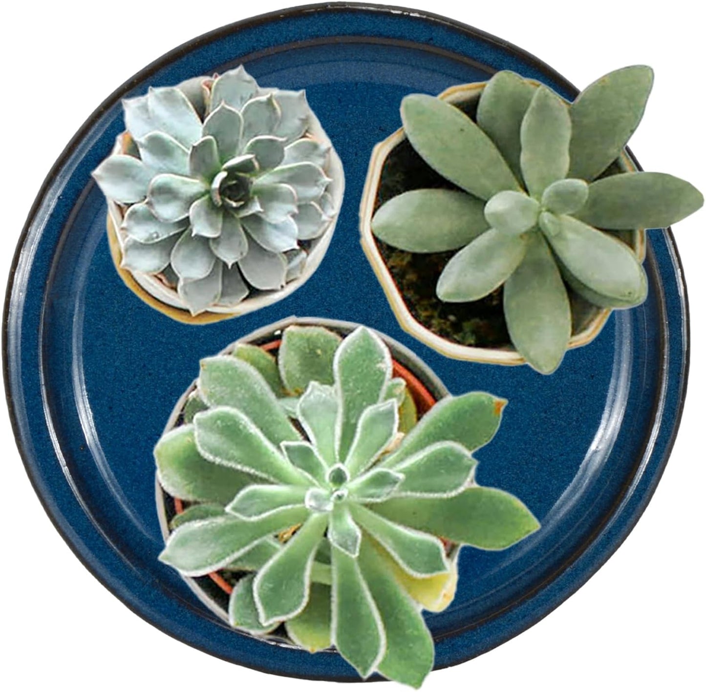 W&W Ceramic Plant Saucer - Plant Trays for Indoor Pots(Blue, 13 inches, 2 Packs)