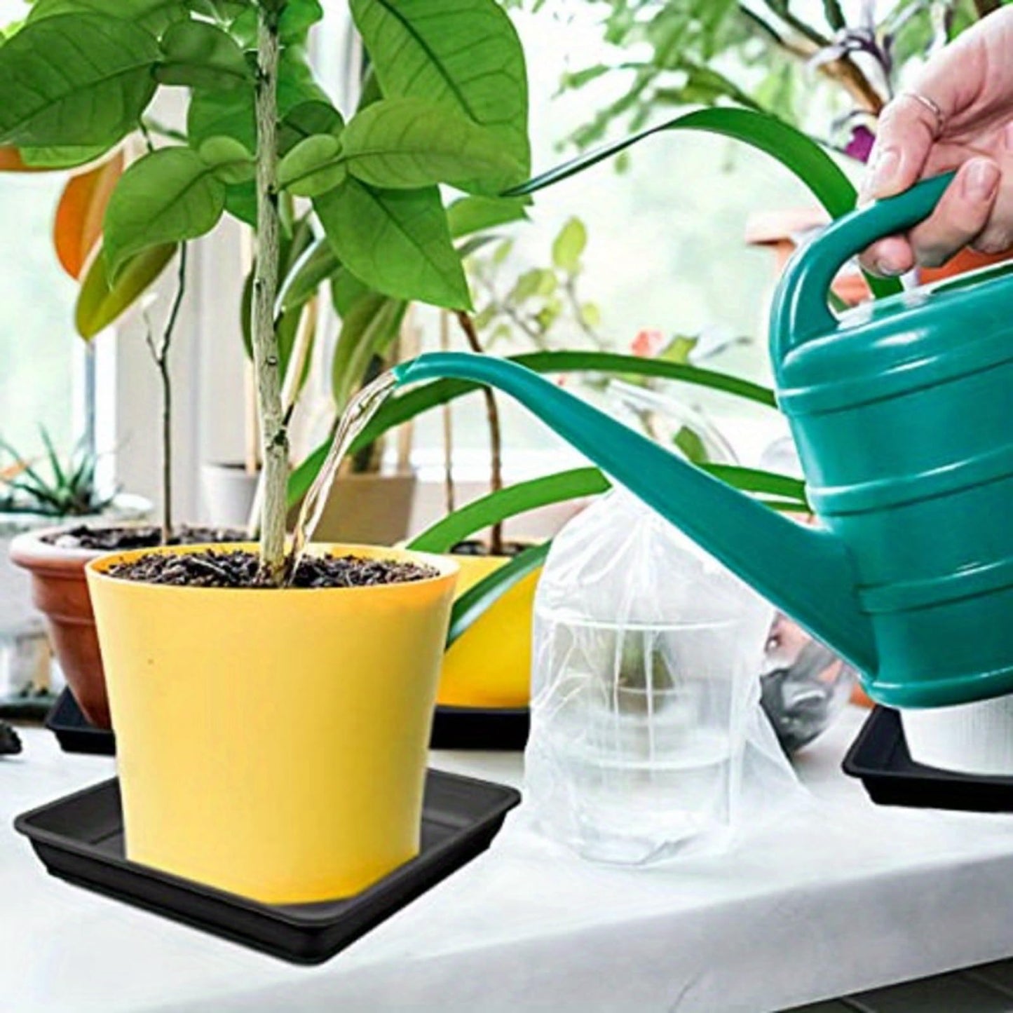 MHXWNHA 6 Pack 8 10 12 Inch Square Plant Saucer, Plant Drip Trays and Flower Pot Saucers, Plant Trays for Indoors No Holes, Plant Drainage Tray Saucers for Potted Plants (Black)