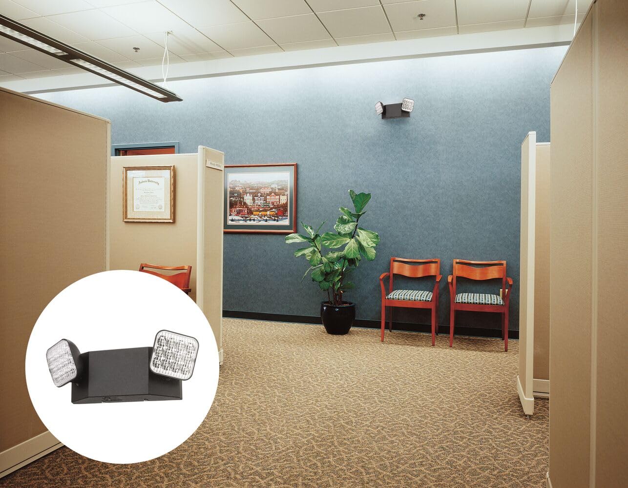 Lithonia Lighting Basics Led Emergency Light  Emergency Lighting With Dual Adjustable Led Lamp Heads  Wall Mount  Damp Location Rated  90-Minute Backup  Mvolt  Black (Eu2C B Mvolt M6)