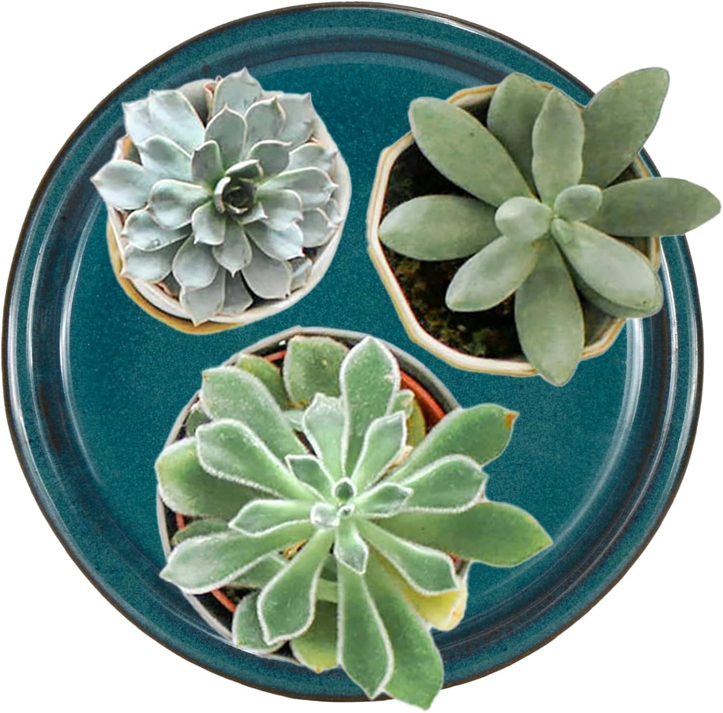 W&W Ceramic Plant Saucer - Plant Trays for Indoor Pots (Teal, 10 inches, 2 Packs)