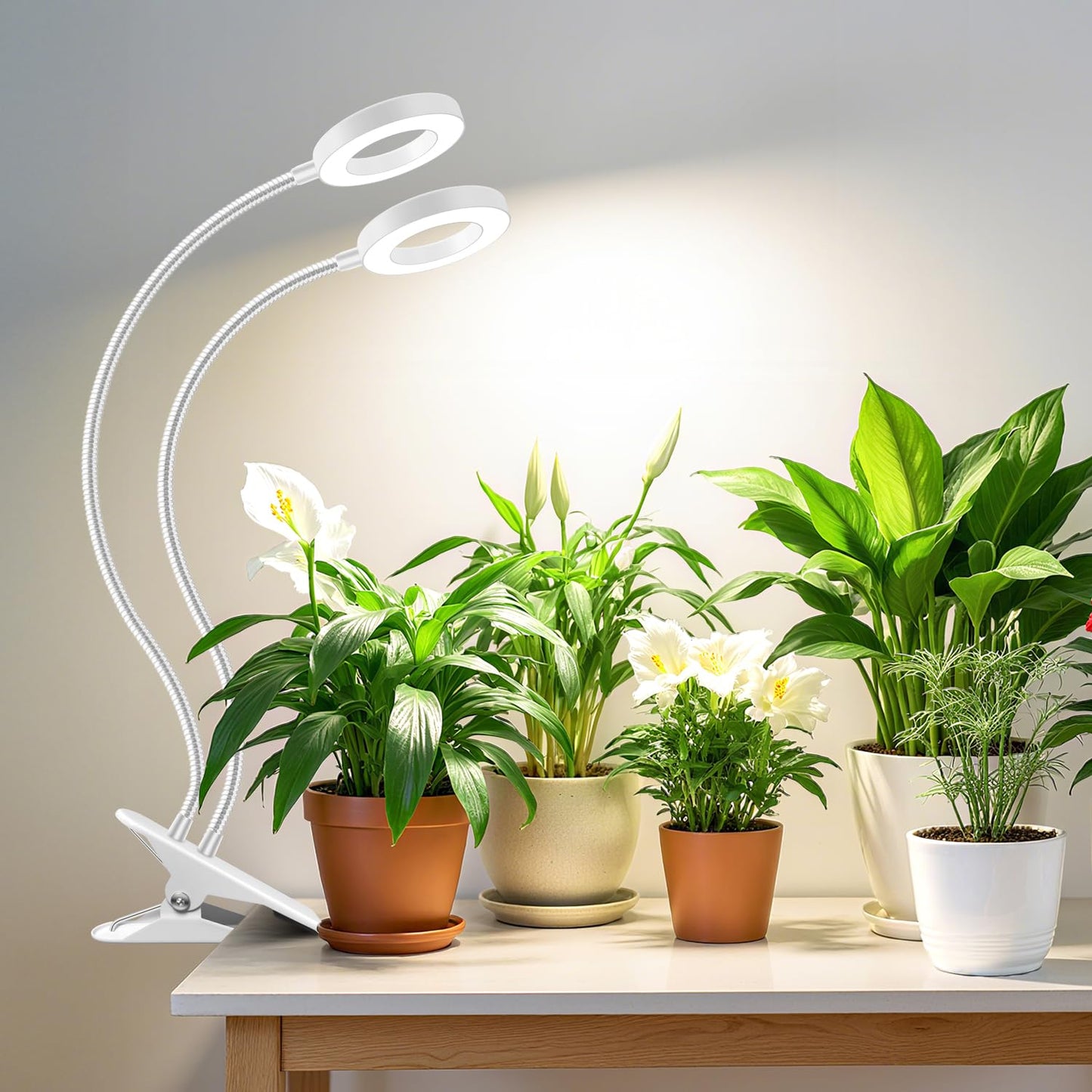Wiaxulay Grow Lights For Indoor Plants  96 Led Full Spectrum Halo Plant Grow Light With Clamp  Clip On Grow Lamp With Auto Timer 6/12/16 Hrs  3 Lighting Mode  5 Brightness  Two Head  White (3.5In)