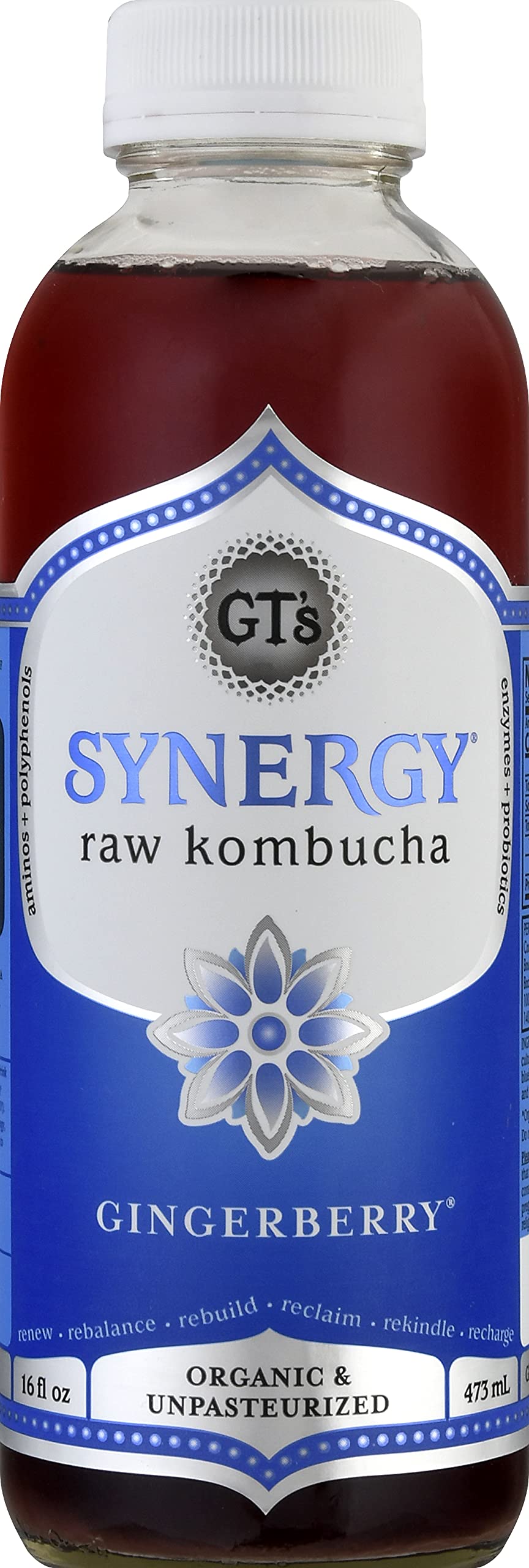 GtS Kombucha, Gingerberry 16 Fl Oz