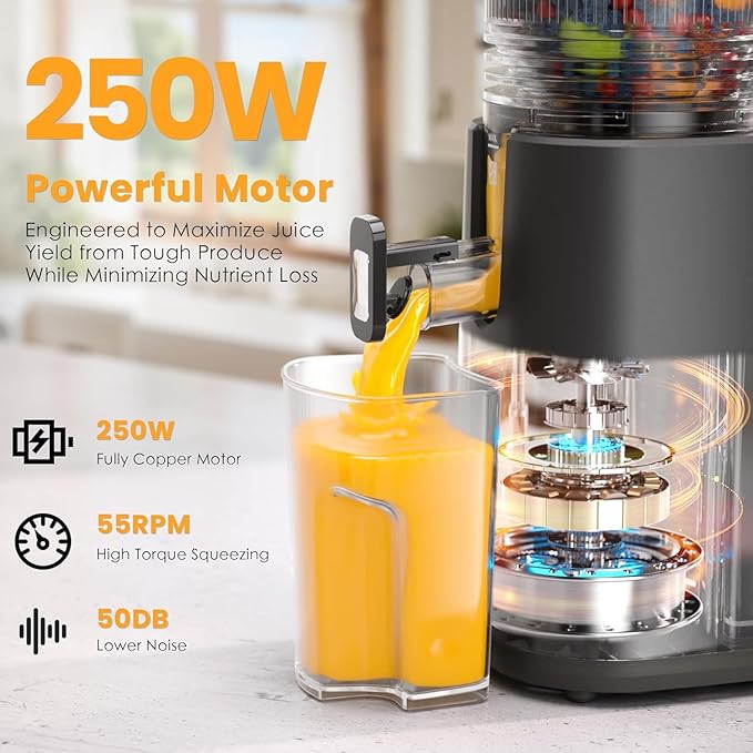 Cold Press Juicer, 5.5inch Wide Feed Chute Juicer Machine, Slow Masticating Juicer for Whole Vegetables & Fruits, Gray
