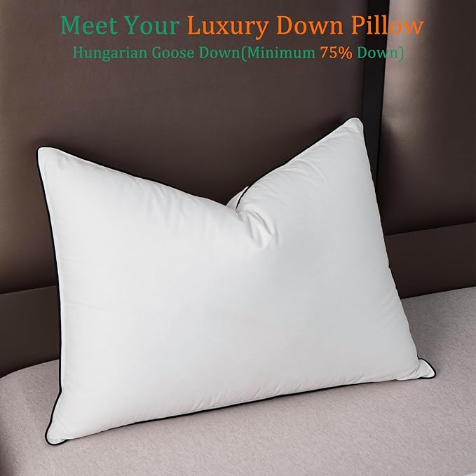 Luxury White Goose Down Pillows King Size - 750 Fill Power - 500 Thread Count 100% Cotton Shell - Soft and Support Down Bed Pillow for Back, Side, Stomach Sleepers - Pack of 1 (20 x 36”)
