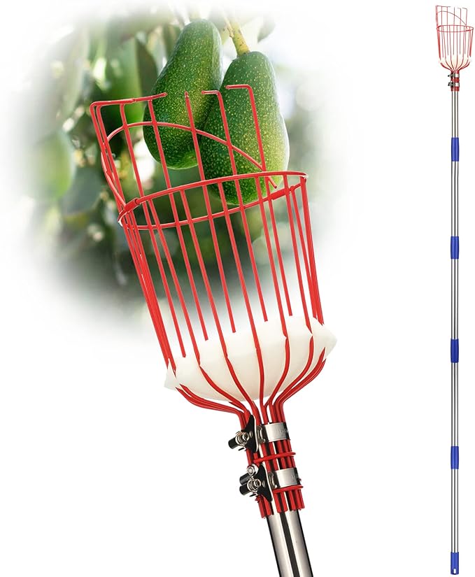 DonSail Fruit Picker Pole Tool with Basket Long Handle, 35-65 Inch Adjustable Apple Orange Picker Pole Tool with Basket fo...