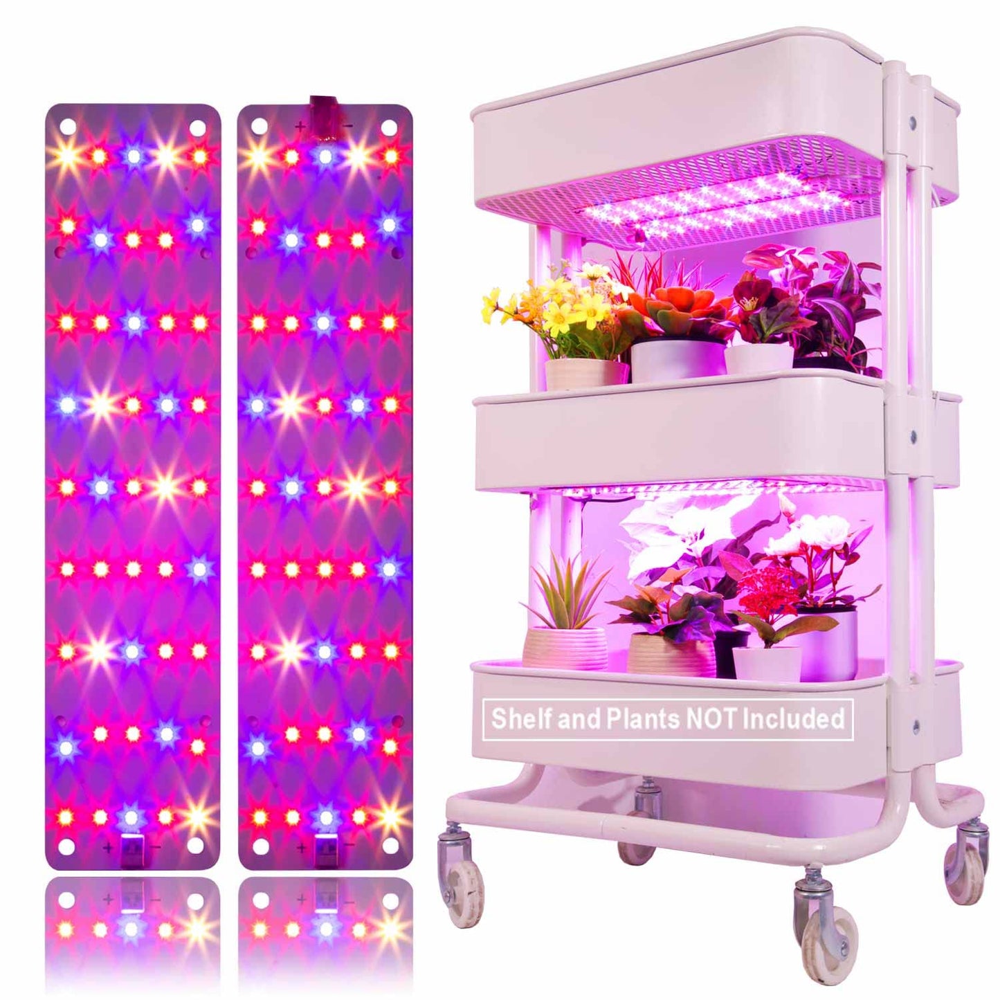 DOMMIA Plant Grow Light, 12W Full Spectrum LED, 2Pcs DIY Assembly, Aluminum, Purple Light, Model 12RBW