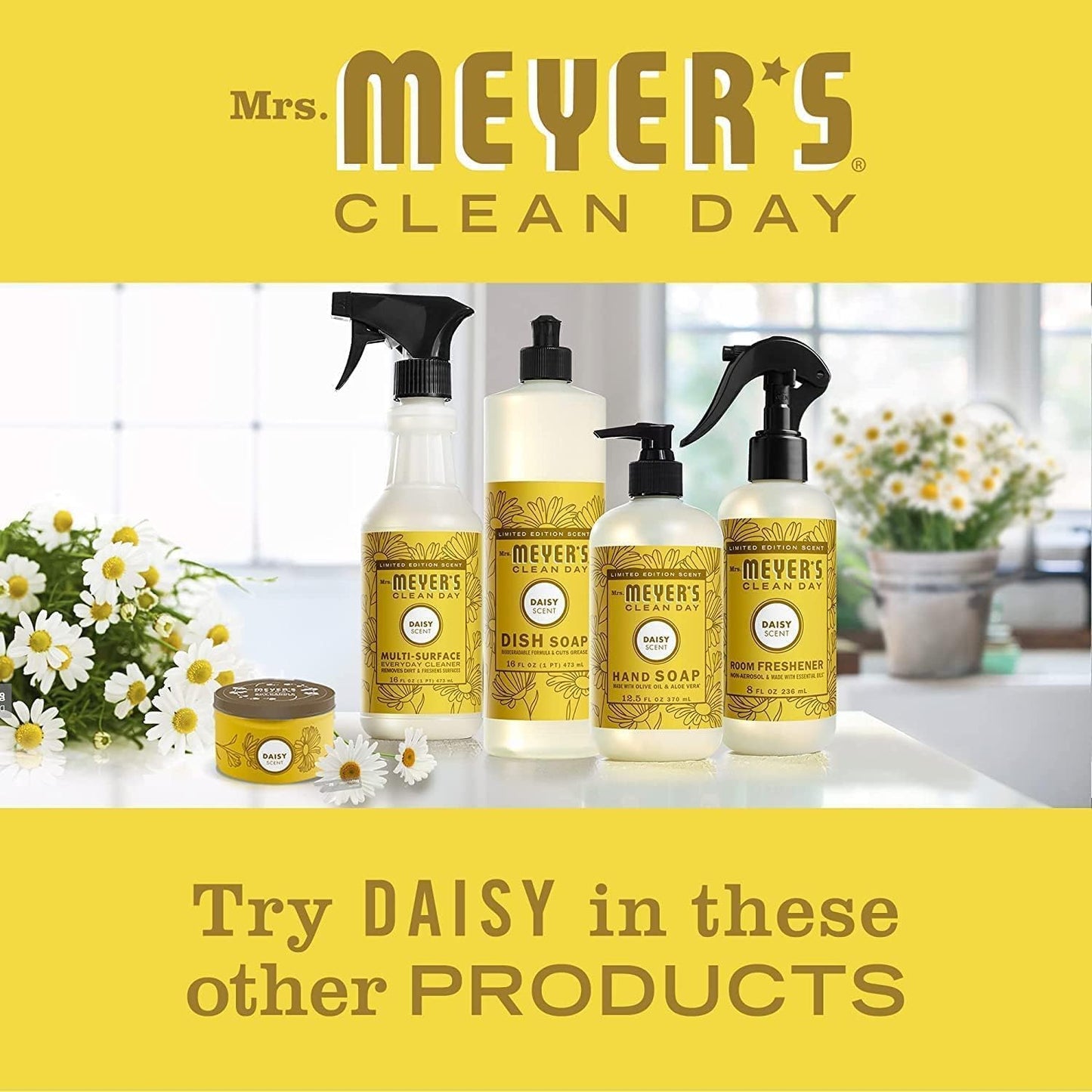 MRS. MEYER'S CLEAN DAY Liquid Dish Soap Daisy, 16 Fl Oz (Pack of 3)
