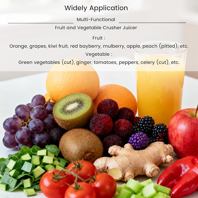 220V 3PH Commerical Fruit and Vegetable Juicer 0.5T/H Stainless Steel Fruit Juice Extractor Machine Industrial Automatic Spiral Multi-Functional Juicer 1500W