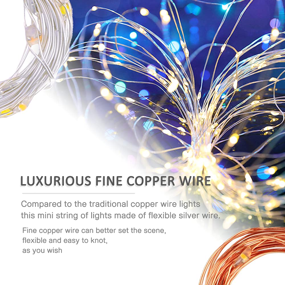 Baisico Waterproof Led String Lights, 2 Pack 20Ft, 60 Warm White Copper Wire Fairy Lights