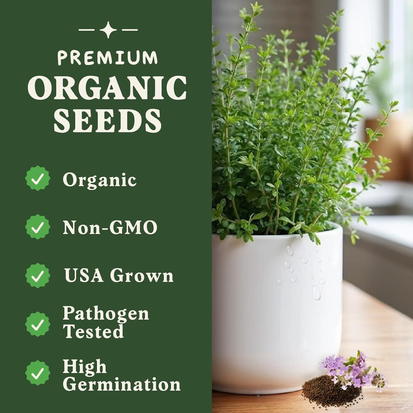 Seedboy Organic Thyme Seeds for Planting Indoor and Outdoor, Non-GMO and USDA Certified Herb Seed Packet for Hydroponic Garden Indoor or Planting Outdoors (Thyme)