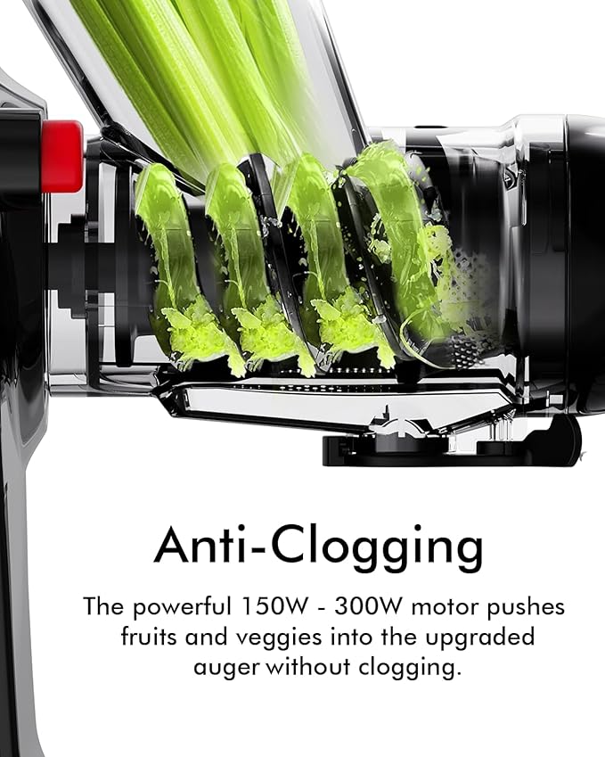 Slow Masticating Cold Press Juicer Machine - Dual Mouth, Quiet, Easy Clean, Gray