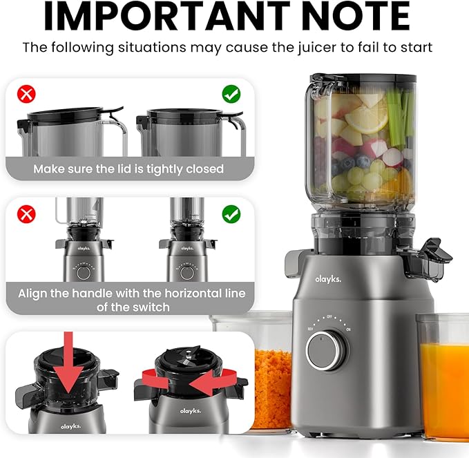 Juicer Machines, High Juice Yield Cold Press Juicer for Fruit and Vegetable, Masticating Machine with Juice Recipe, Self Feeding Effortless for Batch Juicing,Easy to Clean,Grey