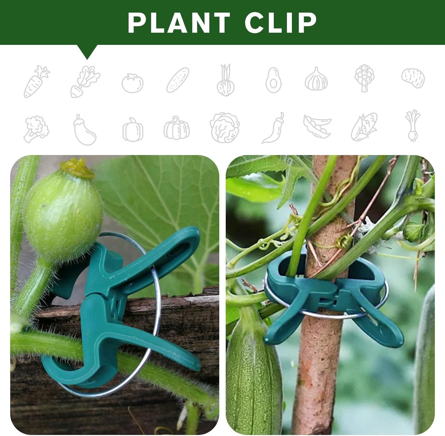 Plant Clips for Climbing Plants, Tomato Clips and Garden Clips for Vine Support, Plant Support Clips for Tomatoes and Garden use(Green, 60 Small)