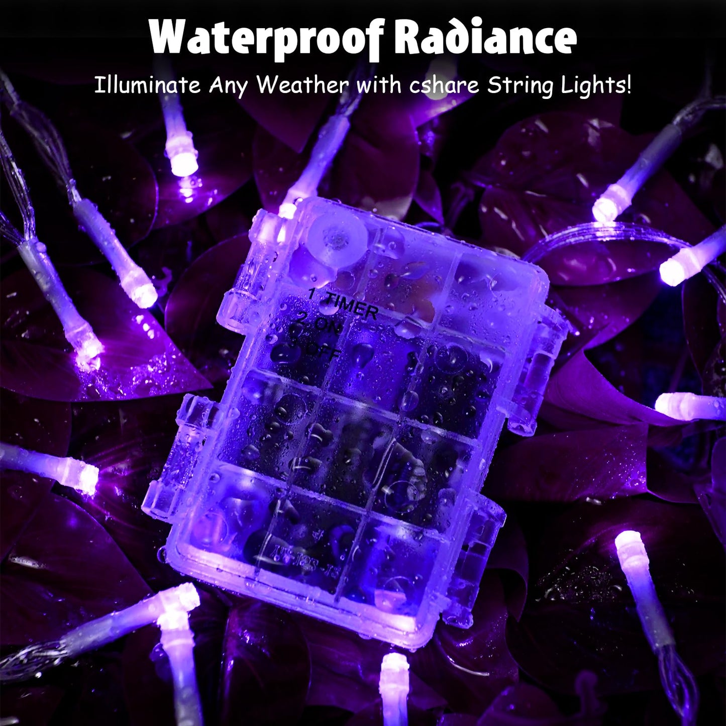 cshare String Lights 30 LED Purple Fairy Lights 9.8ft Battery Operated with Timer for Indoor & Outdoor Decorations, Model CS-FSZC-3PPX2