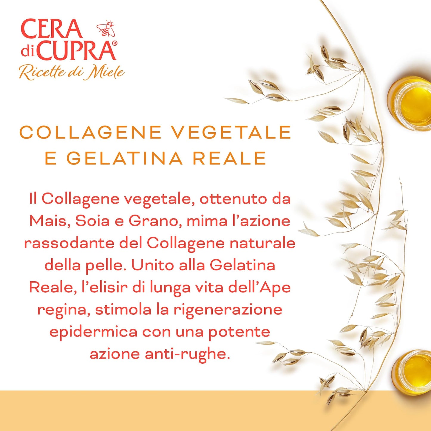 CERA DI CUPRA - Collagen and Vitamin Serum - Concentrated Anti-Aging Solution - Multivitamin Complex for Skin Reconstruction (30