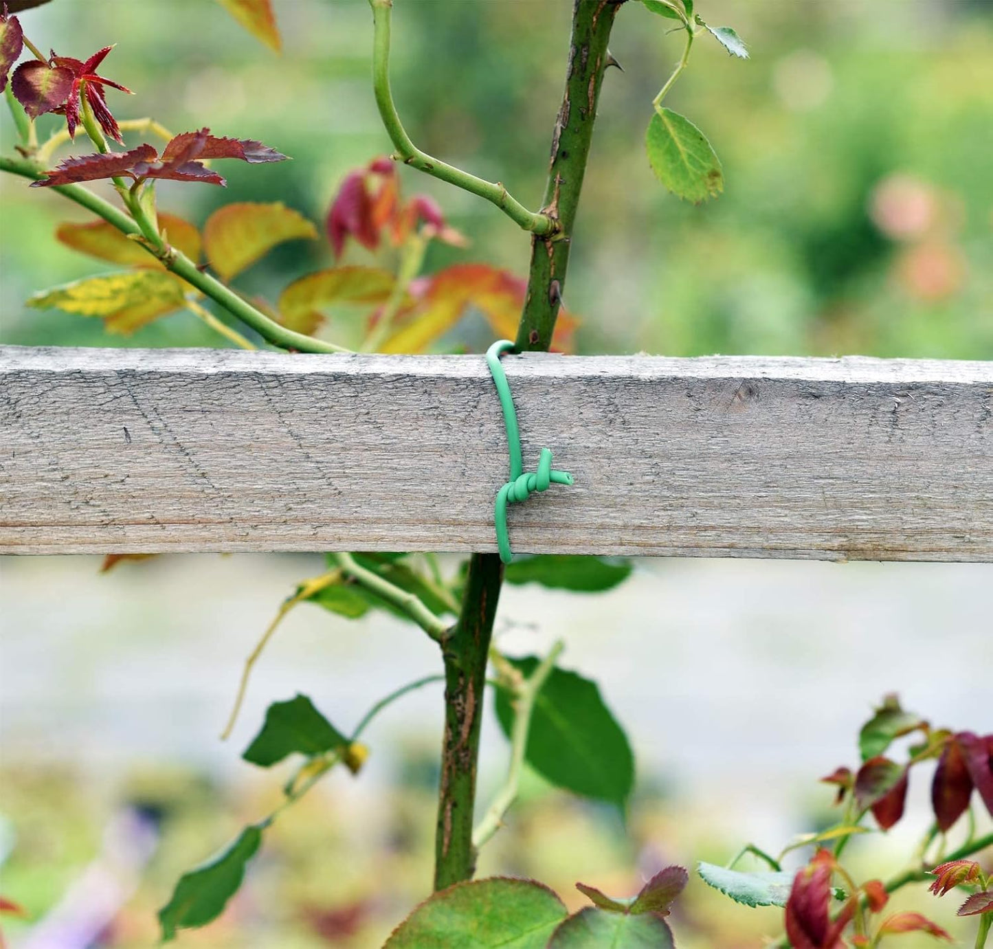Soft Twist Tie Garden Plant Tie 52 feet Heavy Duty Plant Ties…