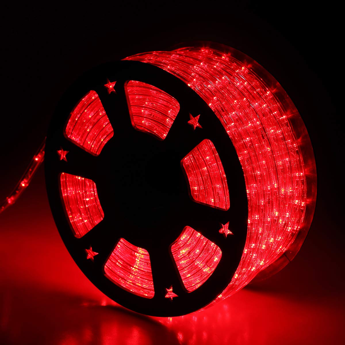 Buyagn LED Rope Lights 100Ft Waterproof Outdoor Decorative Lighting Red, Model DH111701