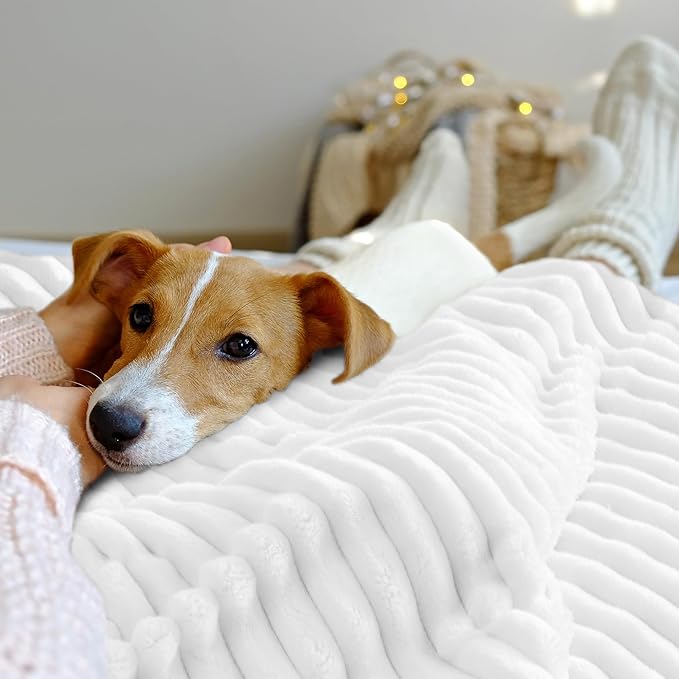 INFIIXSO Sherpa Throw Blanket for Couch - Super Soft & Warm Striped Fleece Blanket, Cozy Plush Fluffy Blanket All Season Use (Off White, 60x80 Inches)