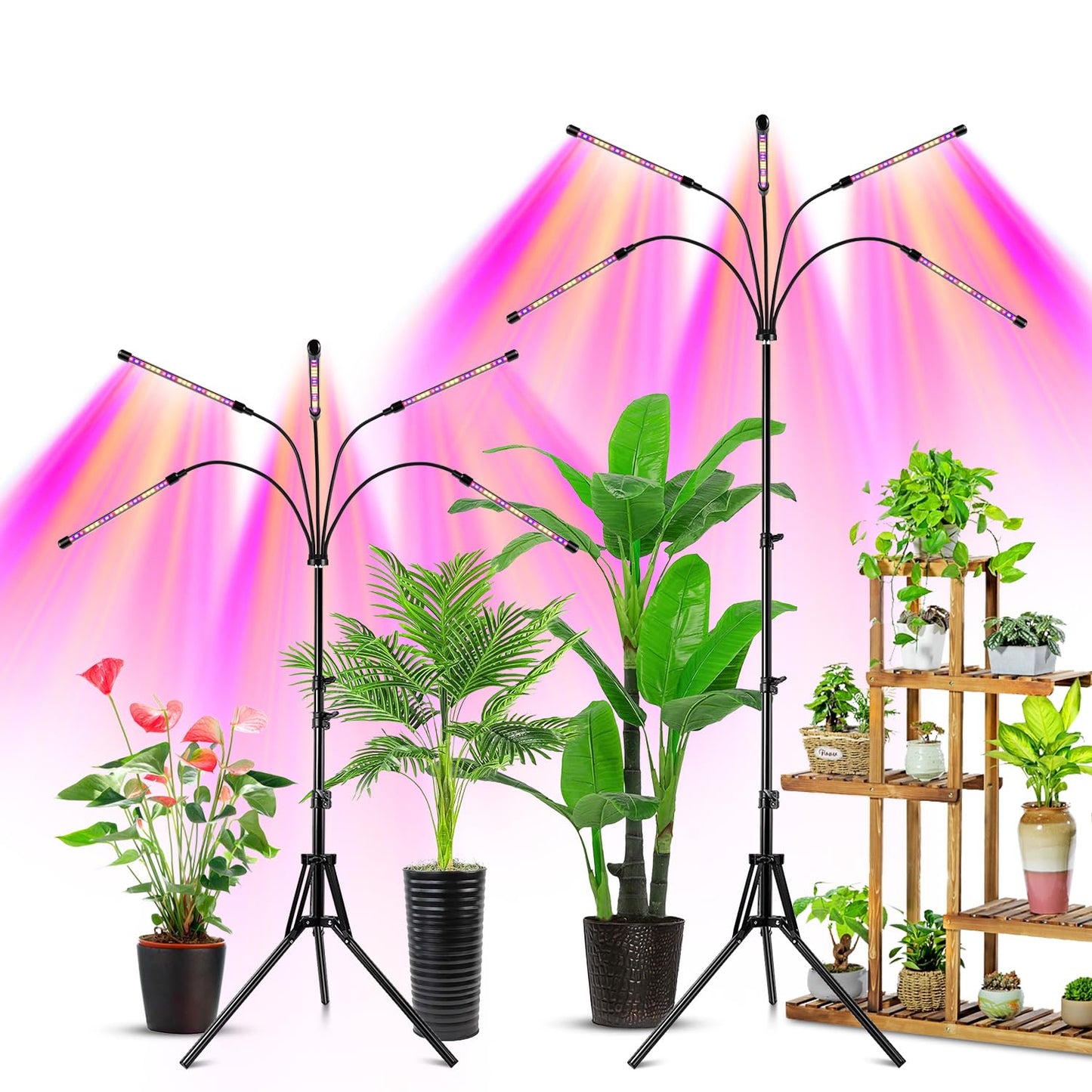 Wolezek Grow Lights for Indoor Plants, 5-Head LED, Adjustable Stand, 2 Pack, Full Spectrum, Red & Blue, Model BL-C100G