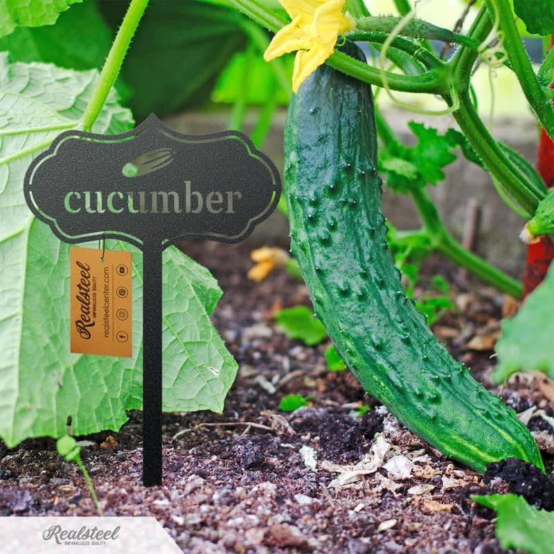 RealSteel - Seed & Plant Markers - Indoor/Outdoor Herb Garden Stakes - Elegant Fruit/Vegetable Seed Labels - Durable Plant Tags for Pots - Classy Design for Farmhouse/Greenhouse (Eggplant)
