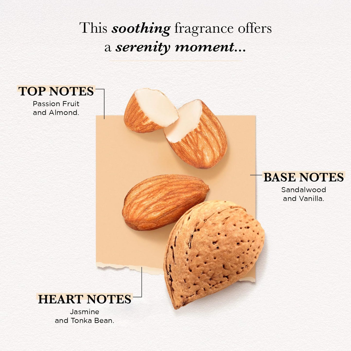 SOLINOTES Almond Perfume for Women - Eau De Parfum | Delicate Floral and Soothing Scent - Made in France - Vegan - 0.5 fl.oz