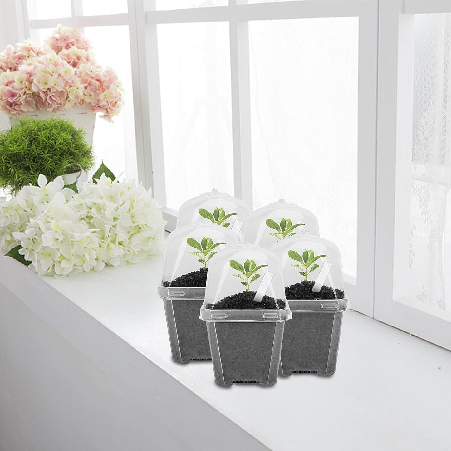 EBaokuup 4" Clear Plant Nursery Pots with Humidity Dome, 10PCS Plastic Gardening Pot Plant Container, Seed Starting Pot with Drain Holes for Seedlings/Vegetables/Succulents/Cuttings