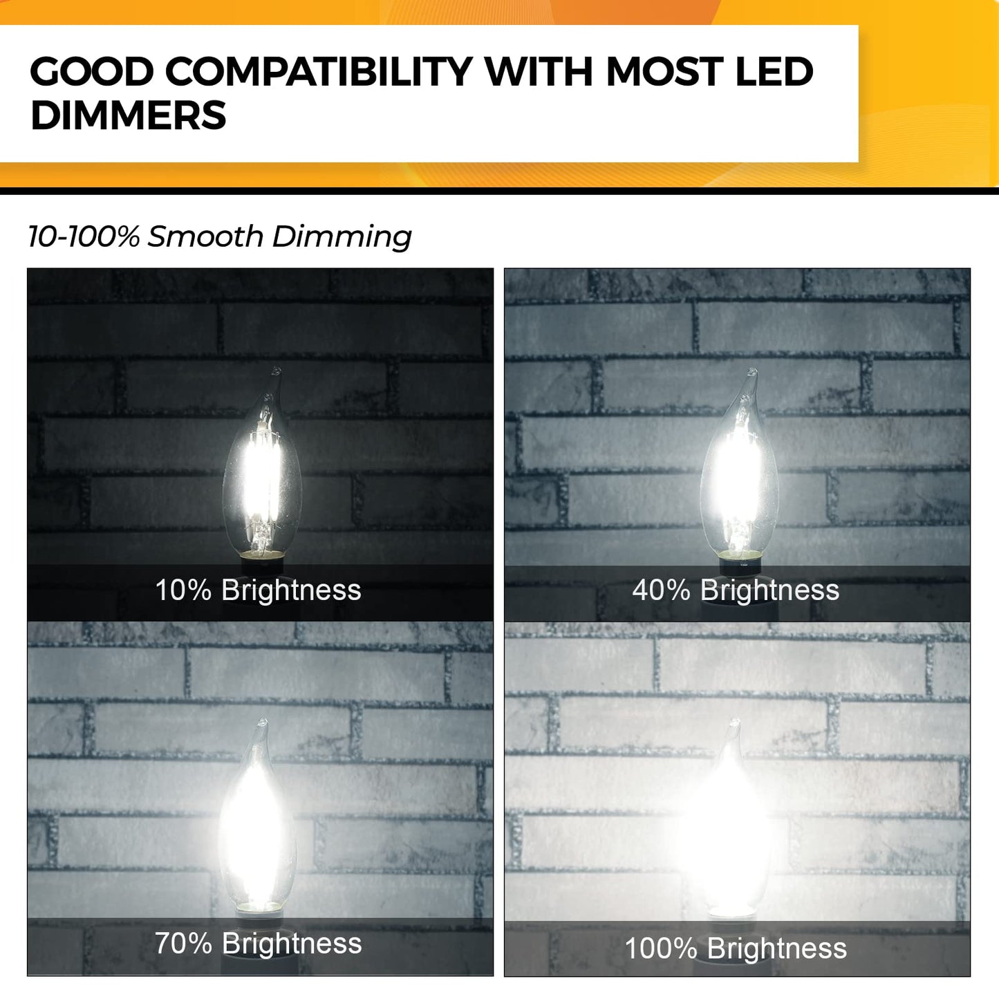 Hizashi E12 Candelabra LED Bulbs 40W 450LM 5000K Daylight White Glass 6 Pack