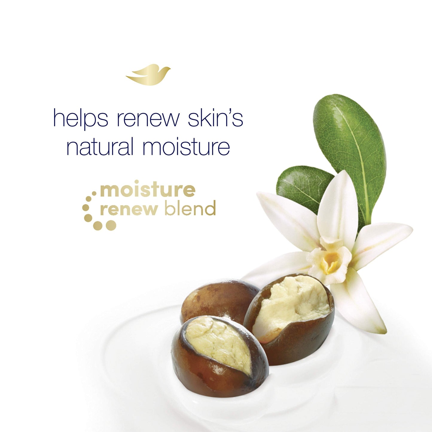 Dove Purely Pampering Body Wash for Dry Skin Shea Butter with Warm Vanilla Effectively Washes Away Bacteria While Nourishing You