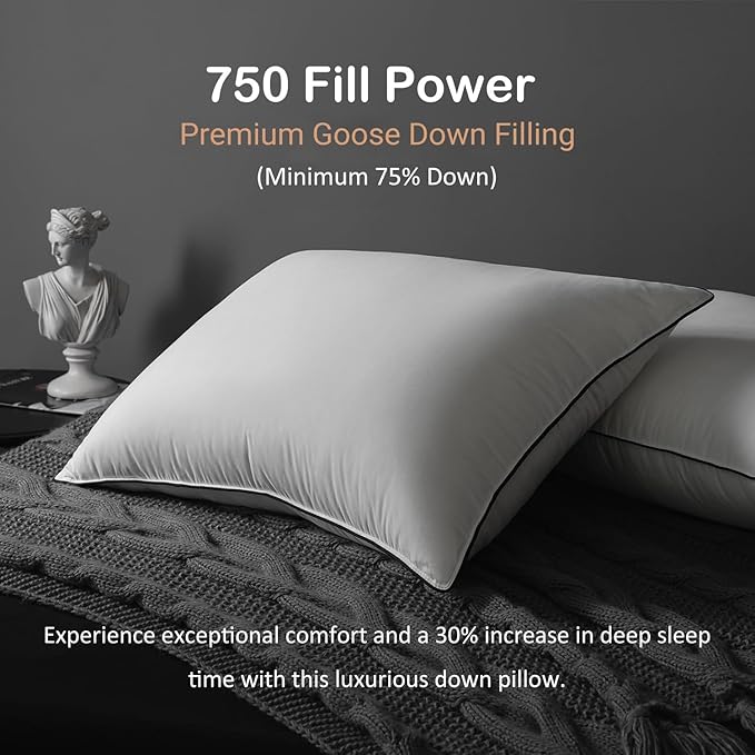 Luxury All Hungarian Goose Down Pillows Queen Size,Soft and Support Down Bed Pillow for Back,Side,Stomach Sleepers,480 Thread Count 100% Cotton Shell,Queen Size Soft Pillow 2 Pack 20"x28"