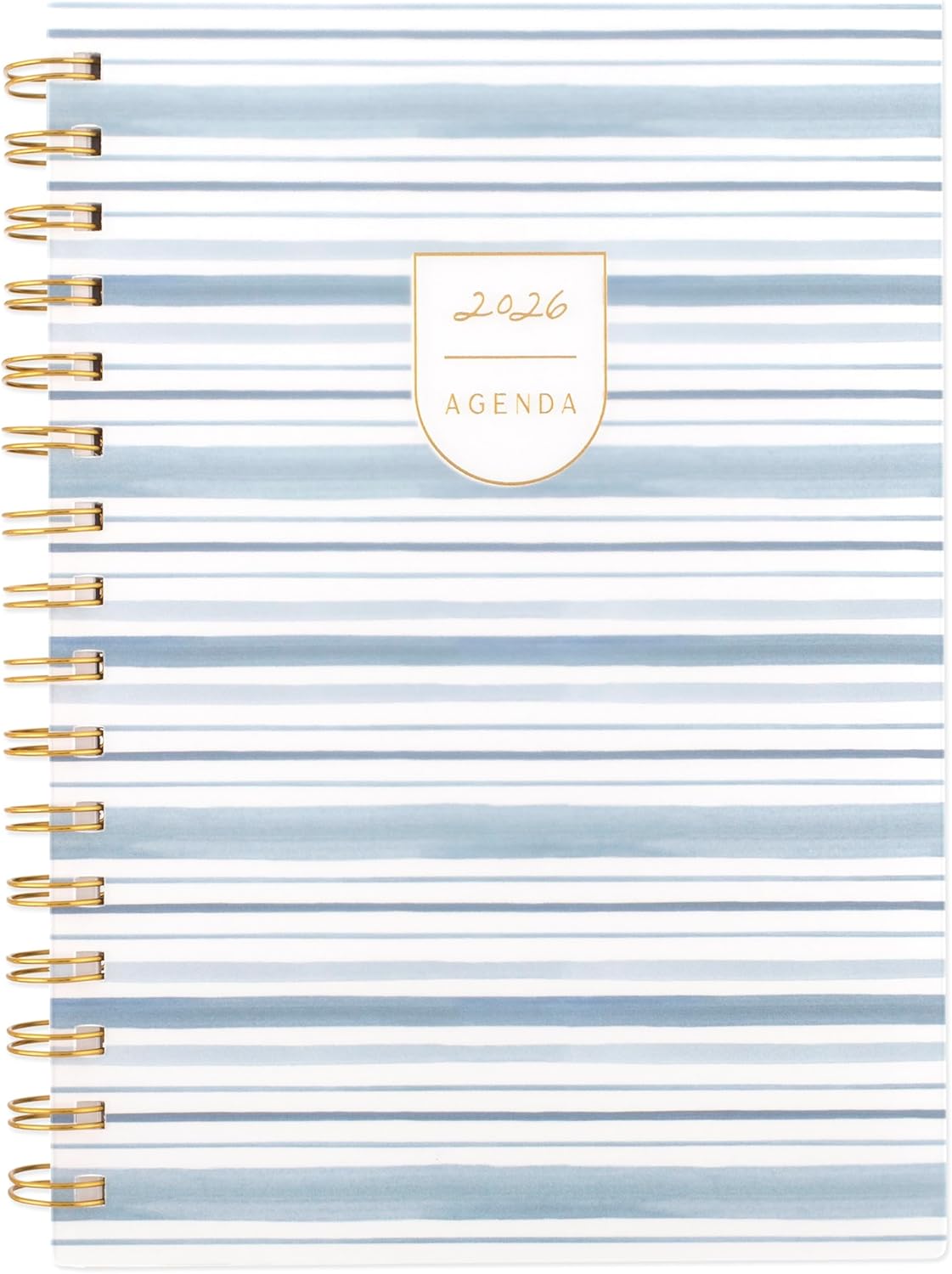 Cambridge 2026 Planner by Leah Bisch, Weekly & Monthly, 5.5" x 8.5", Small, Stripe (LB42-200-26)